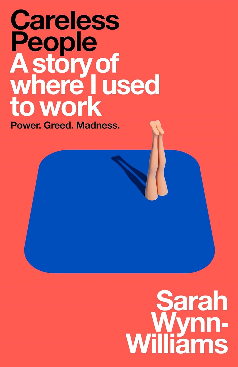 Careless People: A Story of Where I Used to Work Book Cover